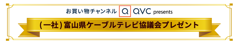 画像に alt 属性が指定されていません。ファイル名: 2024QVCpresent_top.png